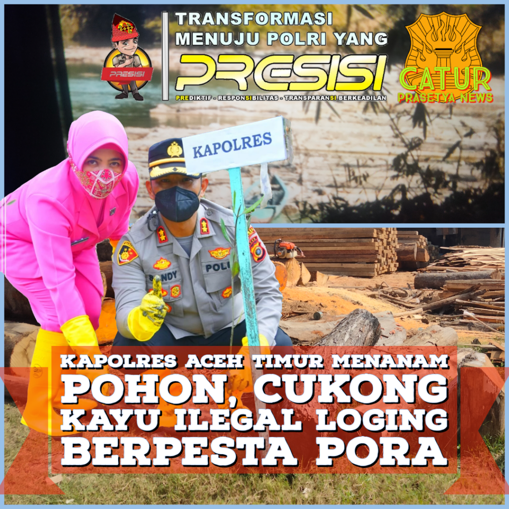 MENGUNGKAP Misteri dan Tabir Gelap Ilegal loging di Aceh&nbsp;Timur