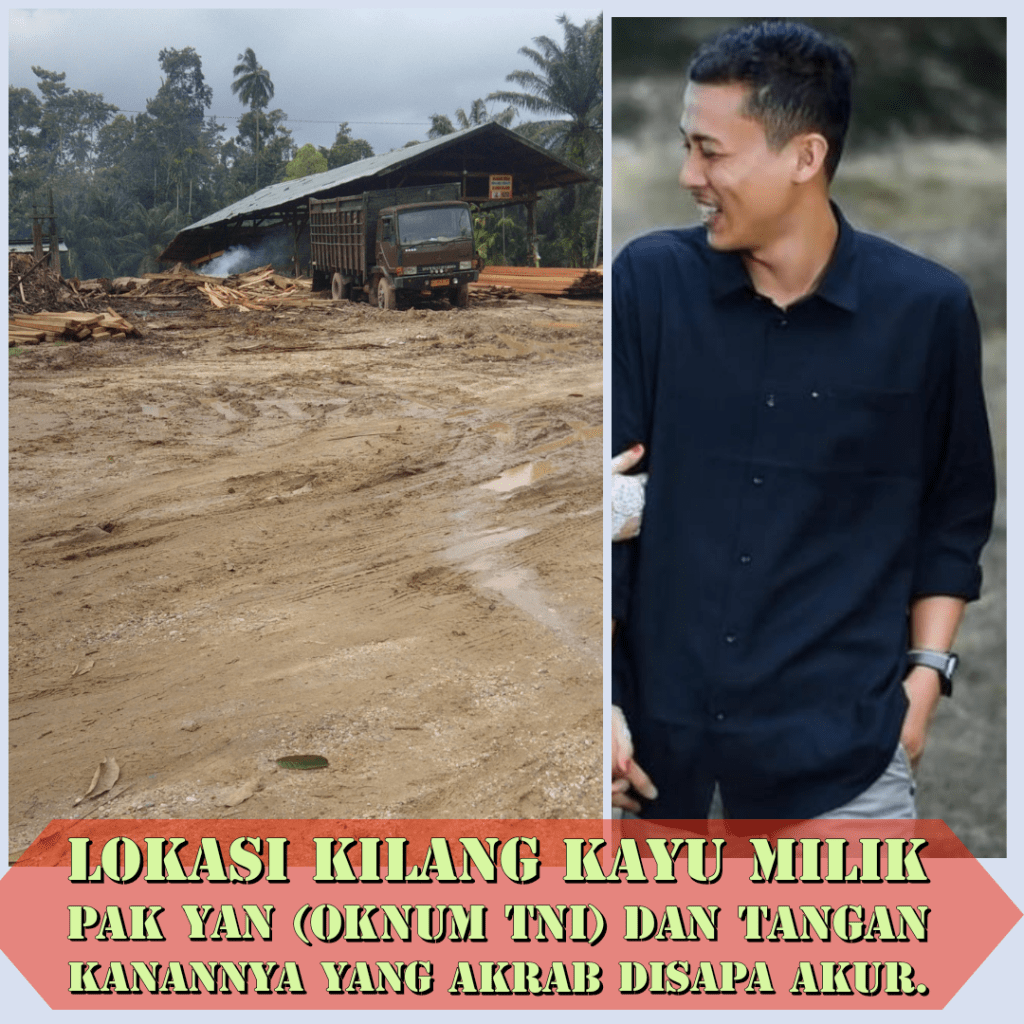 Kejahatan TERORGANISIR PARA MAFIA CUKONG  KAYU ILEGAL LOGING BERPESTA PORA MENIKMATI UANG HARAM ILEGAL&nbsp;LOGING