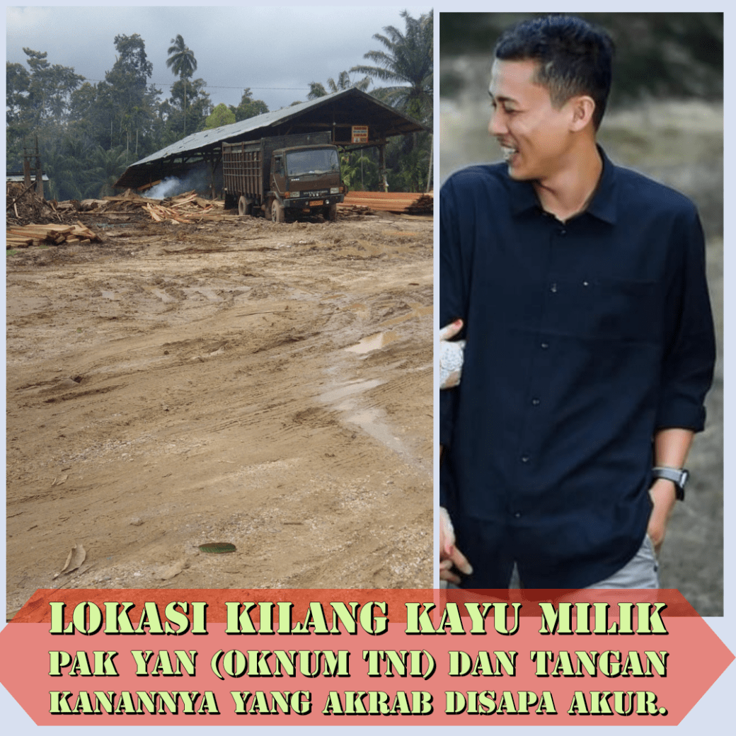 Kejahatan TERORGANISIR PARA MAFIA CUKONG KAYU ILEGAL LOGING BERPESTA PORA MENIKMATI UANG HARAM ILEGAL LOGING