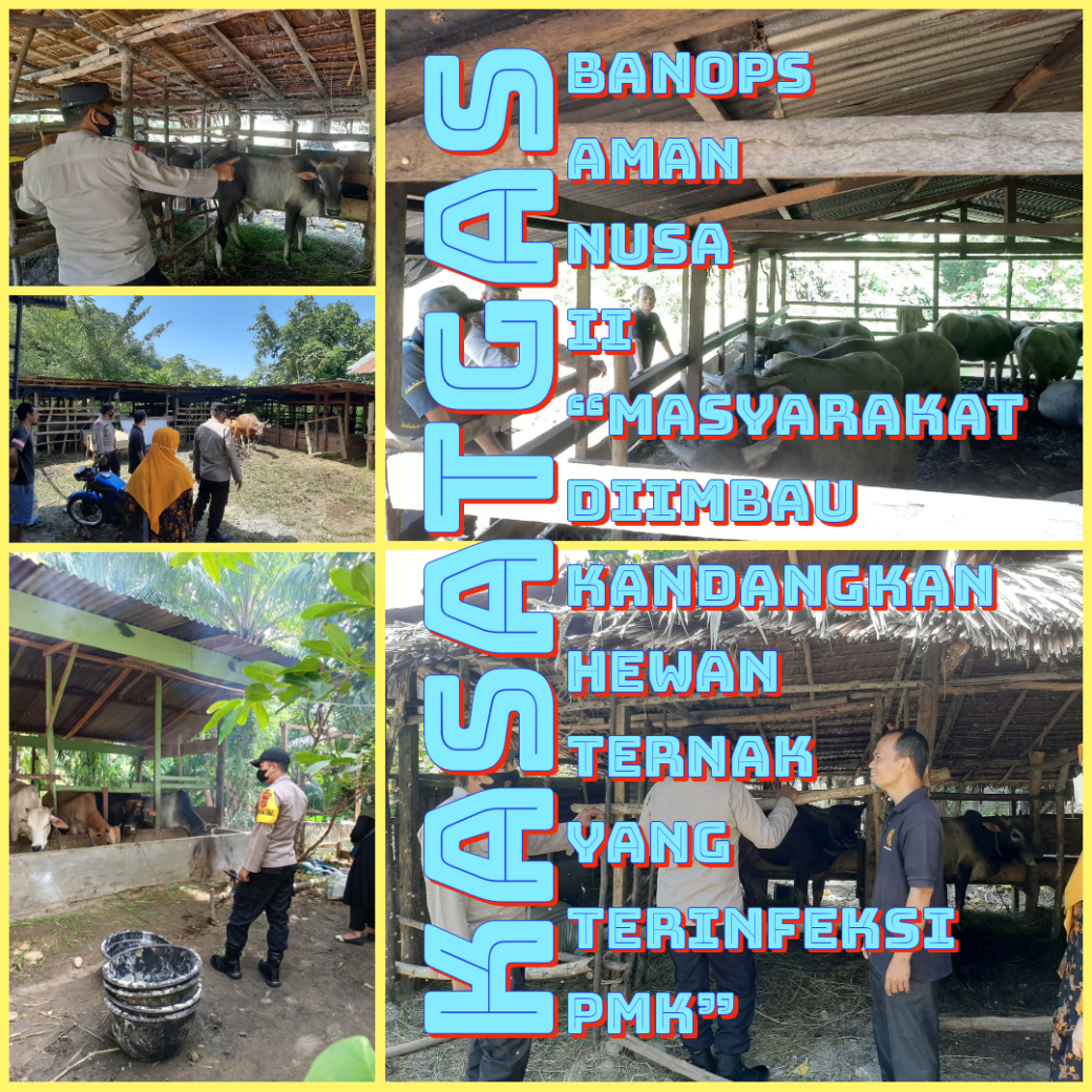 Kasatgas Banops Aman Nusa II “Masyarakat Diimbau Kandangkan Hewan Ternak yang Terinfeksi PMK”