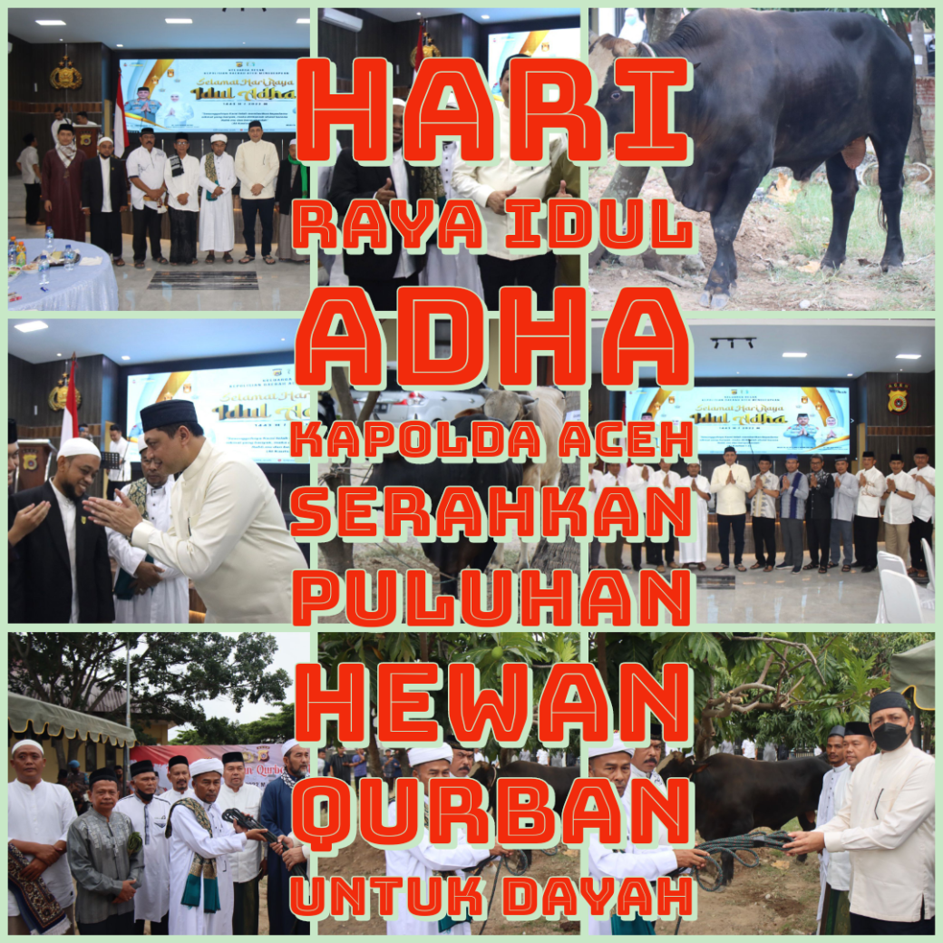 Hari Raya Idul Adha Kapolda Aceh Serahkan Puluhan Hewan Qurban untuk Dayah